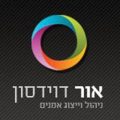 לוגו אור דוידסון